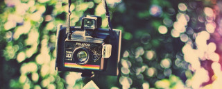 Camera tree rainbow light blurry - lomography free wallpaper