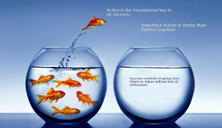 Goldfish jumping bowl quote water - a goldfish free wallpaper