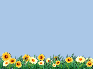 Yellow flowers blue background white - beatrix potter free wallpaper