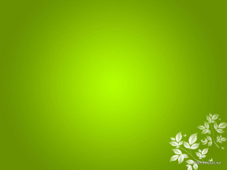 Green background white flowers top - the top of the image free wallpaper