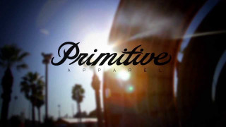 Primitivee window palm trees sunshine - palm tree free wallpaper for desktop