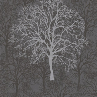 Bare tree forest gray white - free winter wallpaper for tablet
