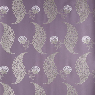 Purple white peacock flower wallpaper - wallpaper free wallpaper for tablet