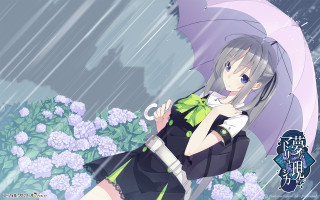 Woman umbrella rain flowers cat - and a cat free wallpaper