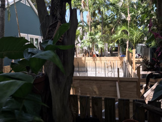 Wooden deck trees plants backyard - a wooden deck free wallpaper