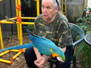 Man sitting chair holding parrot - the camera man free wallpaper
