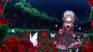 Girl field roses butterfly hand - her side free wallpaper