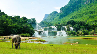 Horse grazing field waterfall river - cui bai free wallpaper