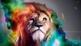 Lion colorful mane black nose 2 - a white face free wallpaper