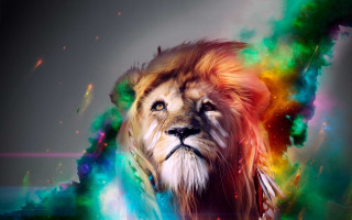 Lion colorful mane rainbow swirl - psychedelic free wallpaper for desktop