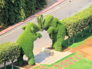 Topiary elephants park walkway trees - whimsical free wallpaper