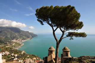 Tree hill water town mountain - cagnaccio di san pietro free wallpaper