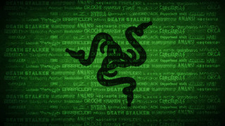 Green background black snake words - wallpaper free wallpaper for desktop