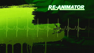 Green black ecg lines background - animation free wallpaper