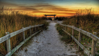 Path beach gate tall grass - betye saar free wallpaper
