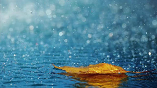 Leaf floating rain water blue - white cloud free wallpaper