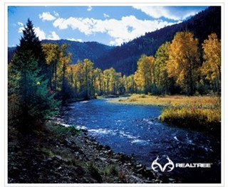 River trees mountains sky white - the picture free wallpaper