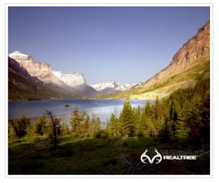 Lake mountains trees sky background - the picture free wallpaper