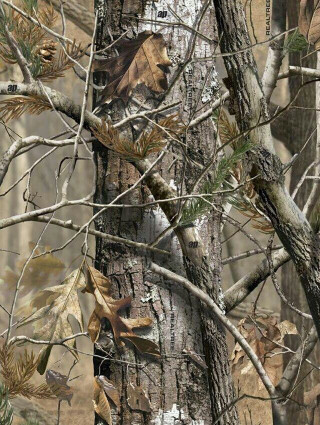 Camouflage background tree camouflage background - hyperrealistic free wallpaper for mobile