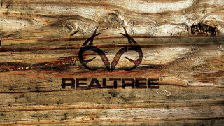 Wood logo closeup tree trunk - realism free wallpaper