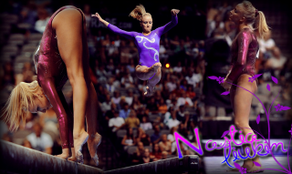 Woman purple leotard beam trick - a trick free wallpaper
