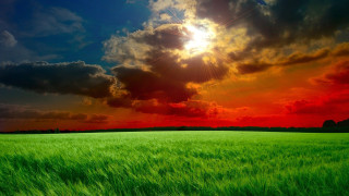 Green grass cloudy sky sunshine 3 - the cloud above free wallpaper