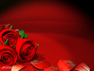 Red roses table heart shaped - red rose free wallpaper
