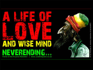 Bird hat love wise mind - love free wallpaper