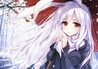 Girl white hair umbrella snow - long white hair holding free wallpaper for desktop
