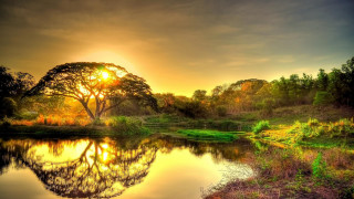 Sunset lake trees grass foreground - tree and grass free wallpaper
