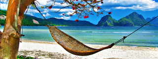 Hammock tree beach ocean mountains 2 - a hammock free wallpaper