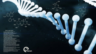 Poster structure description structure - octane renderer free wallpaper