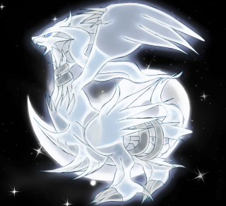 White dragon black background full - a white dragon free wallpaper