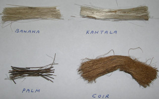 Hair types table moustache names - different free wallpaper