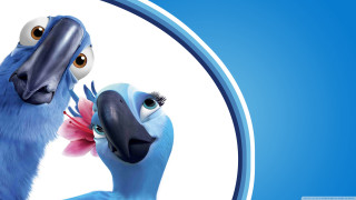 Birds couple blue background white - the edge free wallpaper