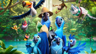 Birds hats jungle waterfall flying - the jungle free wallpaper