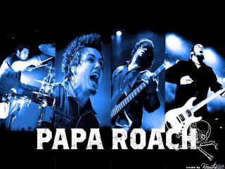 Group guitarists singing microphones papa - guitar free wallpaper