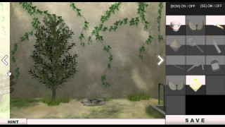 Tree room wall window plants - plant free wallpaper