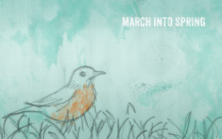 Bird grass drawing march into - a drawing of a bird free wallpaper