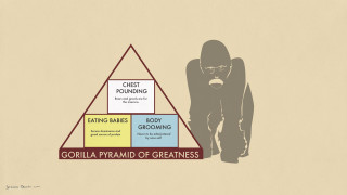 Gorilla pyramid greatness stages gorillaism - correct free wallpaper