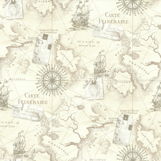 World map ships compasses navigation - free other wallpaper