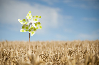 Windmill wheat field blue sky - bernd fasching free wallpaper