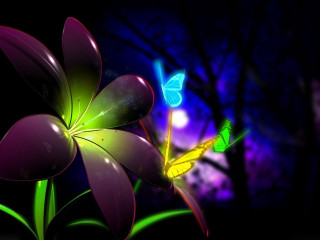 Flower butterfly night sky background 3 - rich color free wallpaper