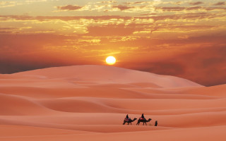 Camel riders desert sunset sky - farid mansour free wallpaper