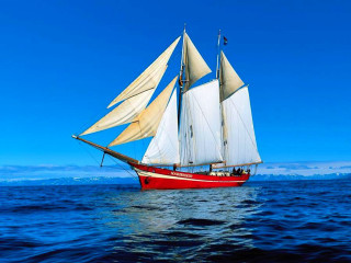 Sailboat sailing ocean sunny day 8 - a sailboat free wallpaper