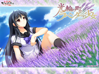 Girl sitting lavender field legs - a field of lavender free wallpaper