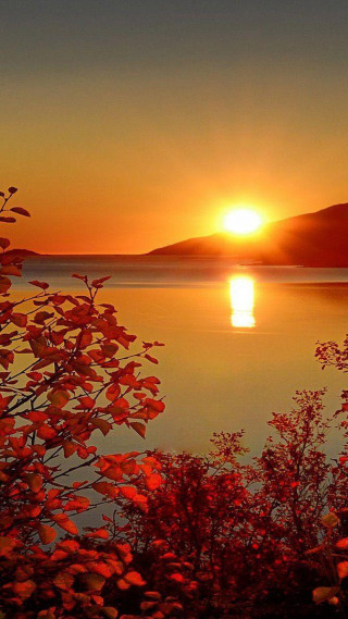 Sunset lake boat trees foreground - free summer wallpaper