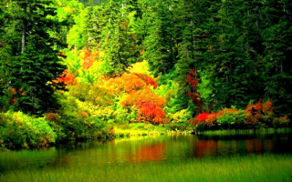 Lake forest autumn leaves impressionist 2 - beautiful scenery free wallpaper