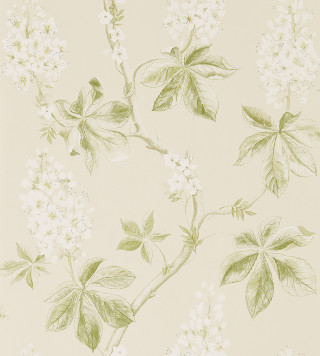 Flower pattern wallpaper branch leaves - a branch free wallpaper for tablet