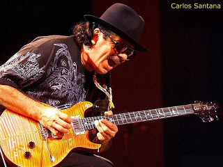 Man hat glasses guitar stage - solo free wallpaper